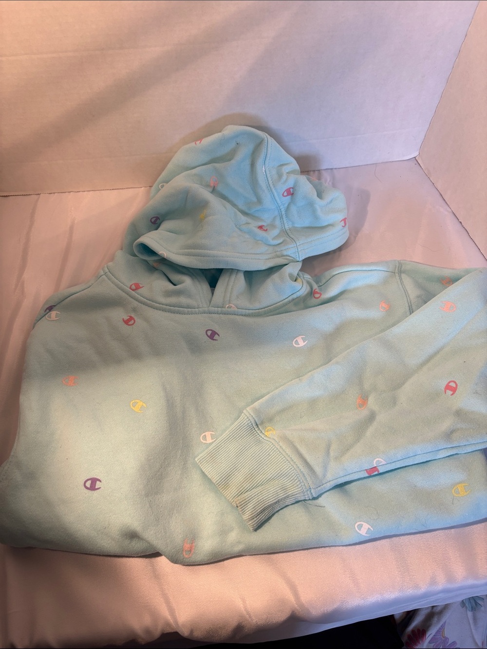 Champion Pastel Blue All-Over Logo Hoodie